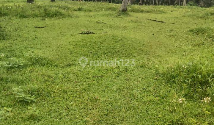 Tanah Dijual Dipasarakan Kembali Lahan Kebun Plat di Selemadeg Timur Tabanan Bali 1