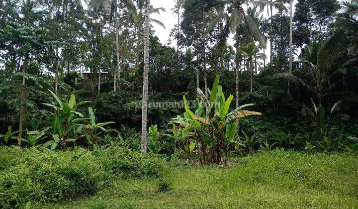 Land for sale Tegalalang Ubud Bali on Jln Utama  1