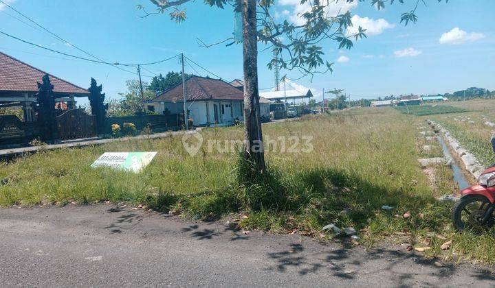 Land for Sale Location Jl Induk Pantai Lima Pre-rental Badung Bali 2