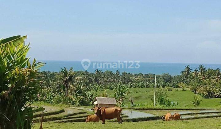 Dijual Tanah Sangat Eksotik Penuh Dengan Nuansa Keindahan View Sawah Dan Laut Pantai Soka Tabanan Bali 1