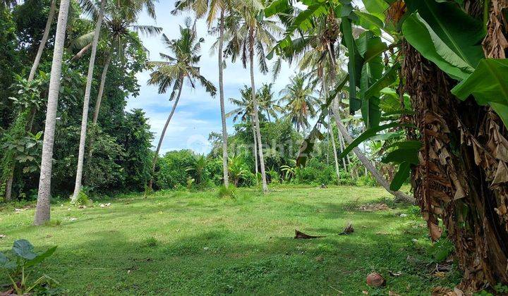 For sale is a plot of land at Los Sungai located on Pasut Beach, Tabanan 1