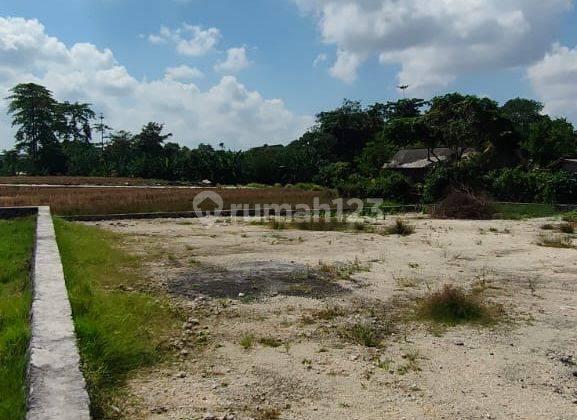 Di Jual Tanah Satu2nya Lokasi Central Berawa Canggu Kuta Utara Badung Bali 1