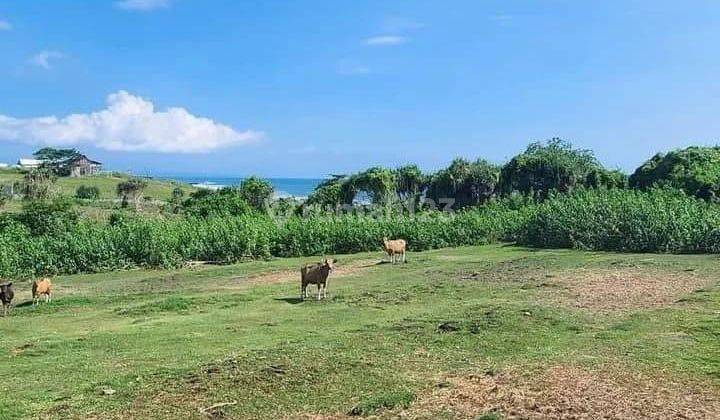 Dijual Lahan Langka Ocean View di Pantai Nyanyi Tabanan Bali 1