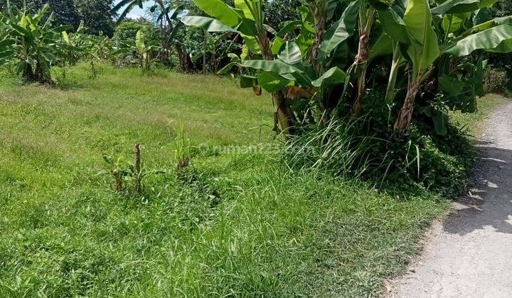 Cheapest land for sale located on Jalan Pantai Nyanyi 1