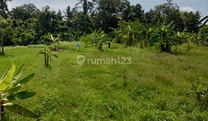 Cheapest land for sale located on Jalan Pantai Nyanyi 2