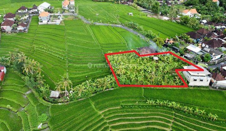 Strategic land for sale with rice field views in the tourist villa area on Jalan Tumbak Bayuh Canggu, North Kuta. 1