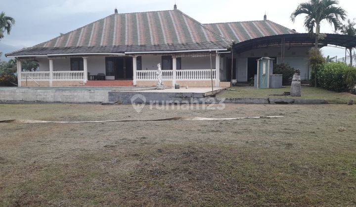 Villa for sale in the middle of rice fields 2