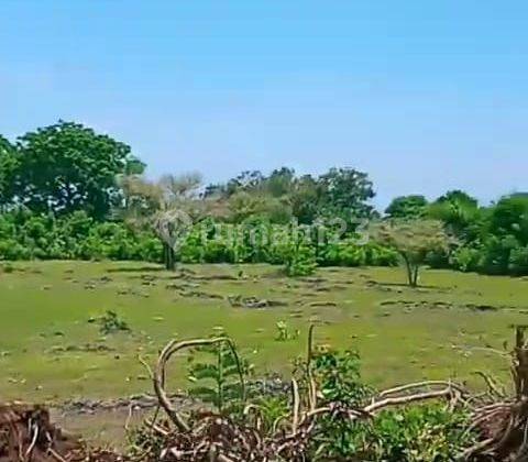 Freehold land for sale in Pandawa Beach, South Kuta, Bali  2