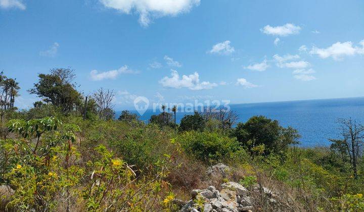 Tanah Los Tebing Los Pantai Nusa Penida Island Klungkung Bali 1