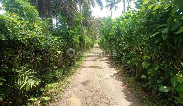 Dijual Tanah Siap Bangun Balian Beach, Kecamatan Selemadeg Kabupaten Tabanan, Bali  1