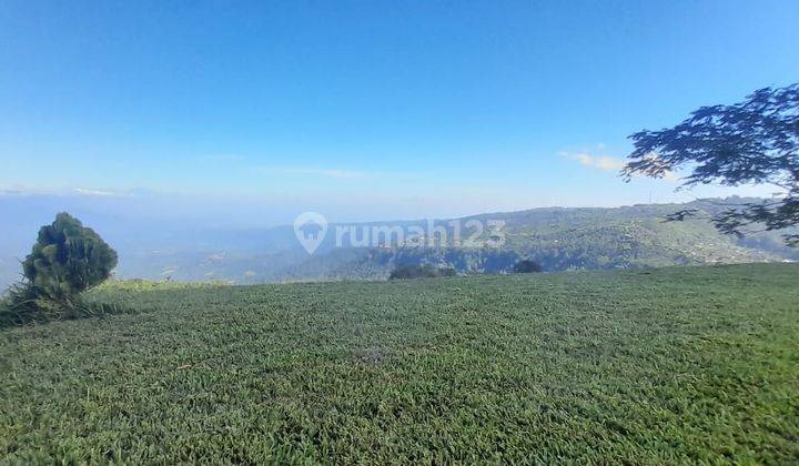 Land For Sale Munduk Buleleng Bali  1