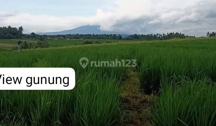 For Sale Lahan Kecil View Laut Sawah Dan Gunung 1