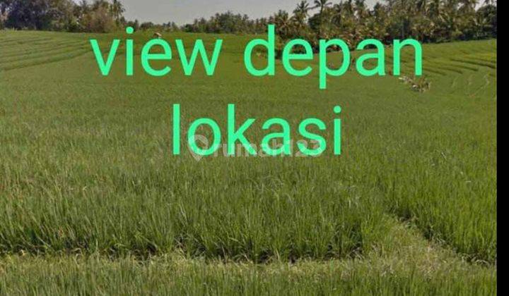 For Sale Lahan Kecil View Laut Sawah Dan Gunung 2