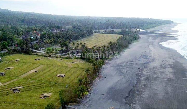 Tanah Strategis Los Pantai selabih Tabanan PINGGIR JLN BY PASS GILIMANUK TABANAN 2