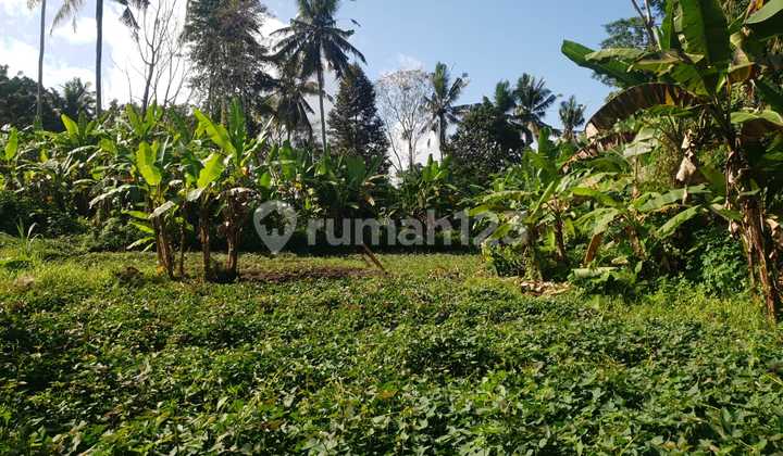 Tanah jalan utama raya sweta ubud Gianyar bali. Satu2nya yg ada di jual di jalan utama