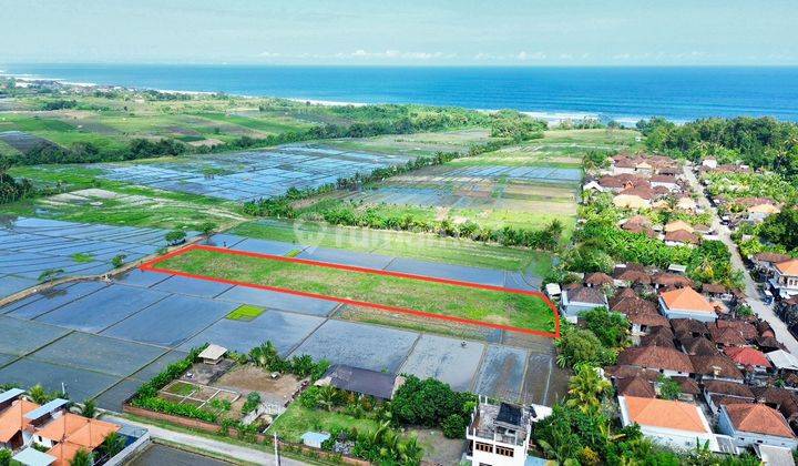 Dijual Tanah Dekat Pantai Kelating Tabanan 2