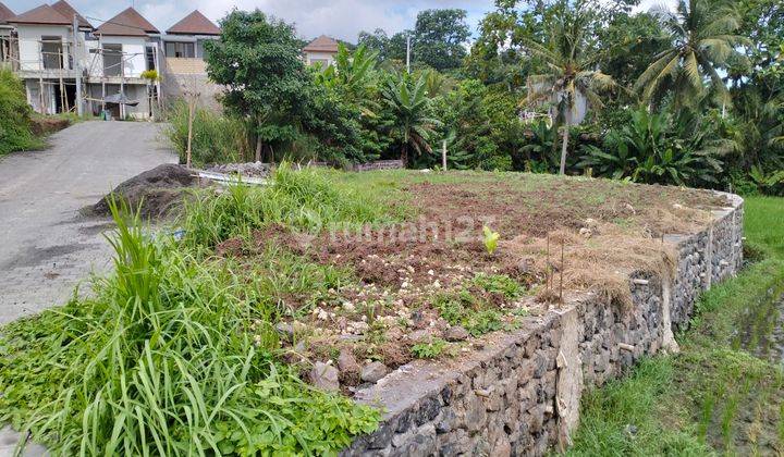 Small and cheap land for sale on Jalan Pantai Kedungu. 1