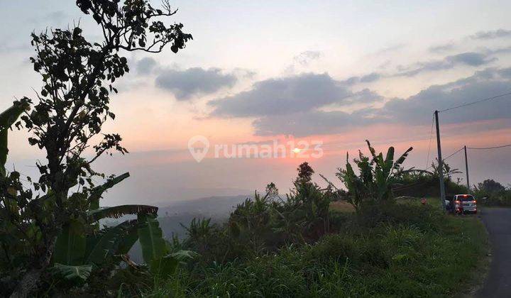 Dijual Tanah dengan pemandangan lautan dan matahari terbenam yang Berlokasi Munduk DANAU TAMBLINGAN - DANAU BUYAN BEDUGUL 2