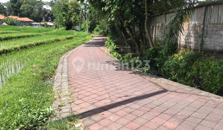 Land for Sale on Jalan Umalas II, Kerobokan, Kuta