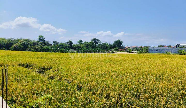 Leasehold Land For Rent On Main Street Pengubengan Kauh Kerobokan 2