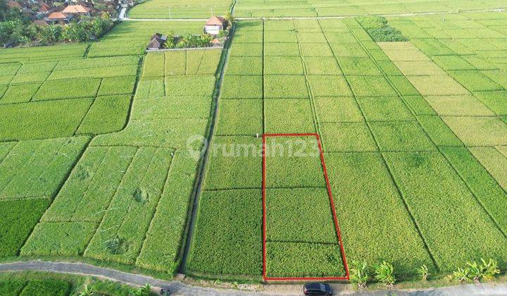 For Sale Land Pantai Pasut Tabanan Near Villa Keong The Cloud View Sawah Pantai 2