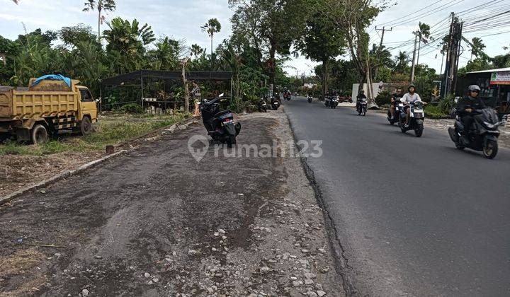 Premium Land for Rent Located on Main Street of Kerobokan Near Canggu, Legian, Kuta, Badung Airport, Bali 2