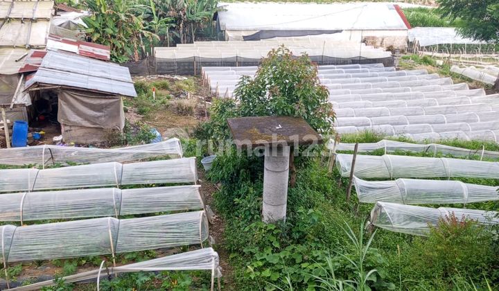 Rare Land For Rent - Lakefront Lot in the Heart of Bedugul Tourism, Candikuning