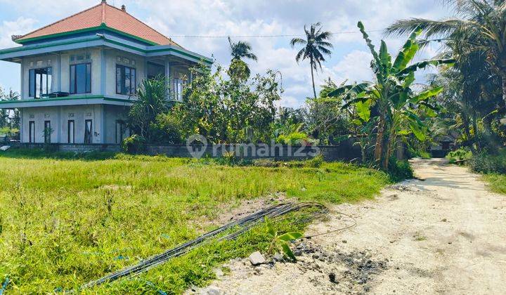 Leasehold Location Pejeng Gianyar Bali 15 Minutes To Ubud Central 2