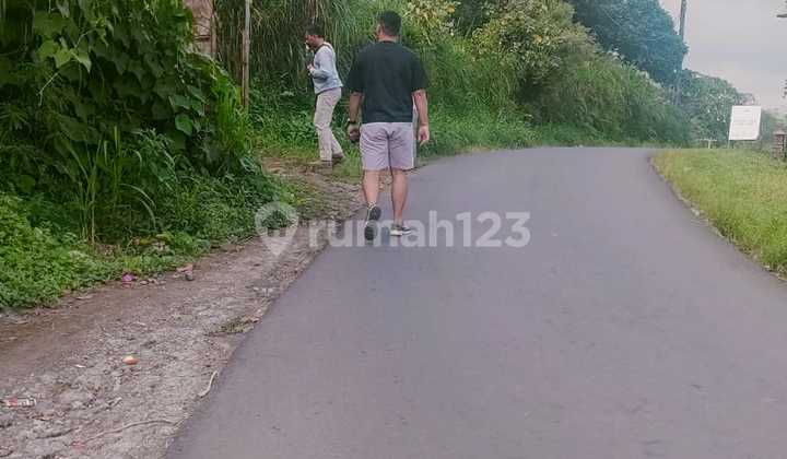 tanah view laut yang berlokasi di desa munduk/tamblingan tanah view laut yang berlokasi di desa munduk/tamblingan