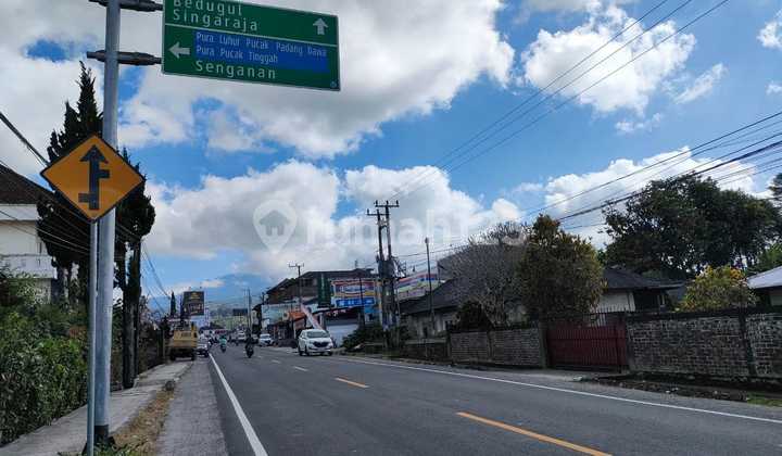 Dijual Tanah Kebun Durian Produktif di Baturiti Tabanan - Bali