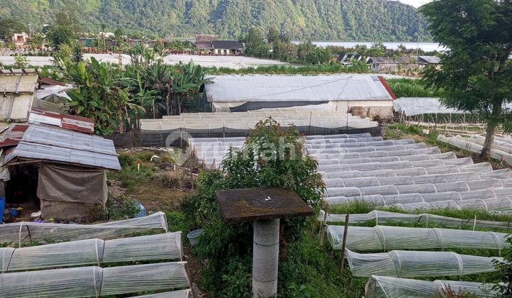 Rare Land For Rent - Lakefront Lot in the Heart of Bedugul Tourism, Candikuning