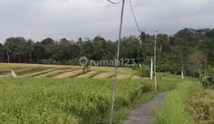 Dijual Tanah Lokasi Cemagi Badung Bali Dengan View Hamparan Sawah 1