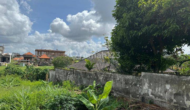 Dijual Murah Tanah Murah View Sawah 8,6Are Jl. Pantai Brawa Semat Canggu Bali 2