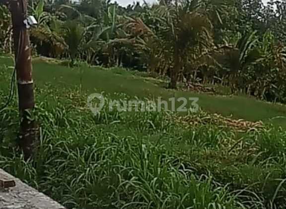 Dijual Tanah Super Murah / Buc Cocok untuk Gudang / Pabrik, Kavling / Investasi Dll