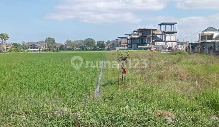 Tanah Sewa Berlokasi Dekat Pantai Lyma
