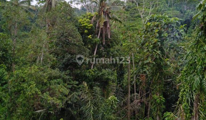  Dijual Tanah Loss Sungai Lokasi Samplangan Gianyar Bali, Cocok Untuk Perumahan 2