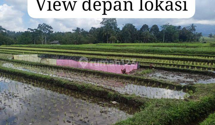 Lahan Premium Lokasi Desa Tengkudak Penebel Kab. Tabanan 1