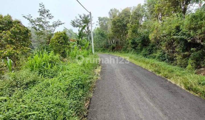 Di Jual Tanah Kebun Cengkeh Dengan View Laut Buleleng Singaraja Bali 1