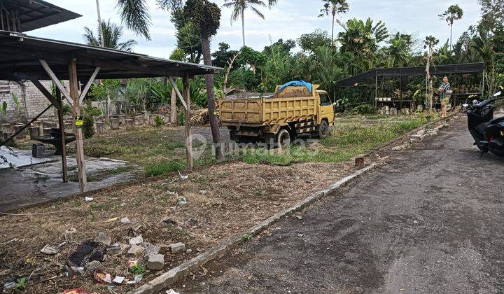 Premium Land for Rent Located on Main Street of Kerobokan Near Canggu, Legian, Kuta, Badung Airport, Bali 1