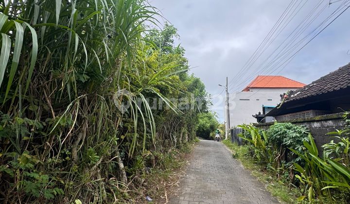 Freehold for Sale Premium Land Location Batubolong Canggu