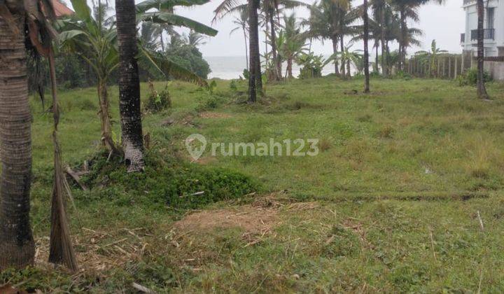 Land for Sale with Rice Field and Sea Views, Tabanan Bali, Villa Environment 1