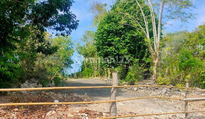 Leasehold Land Pecatu Bali Tanah View Areal Pecatu Dekat Bulgari 2