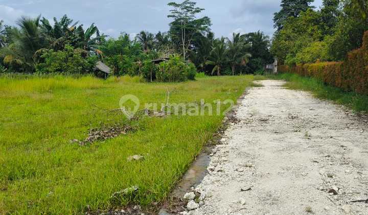 Dijual Tanah Suasana Sejuk dan Tenang Loss Sungai Nempel dengan Kolam Renang dan Area Pesraman Dijual Tanah Suasana Sejuk dan Tenang Loss Sungai Nempel dengan Kolam Renang dan Area Pesraman