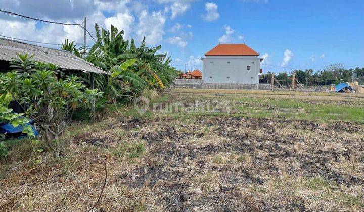 For Rent Land with Rice Field View Located at Seseh Beach, Badung, Bali, Indonesia. 1