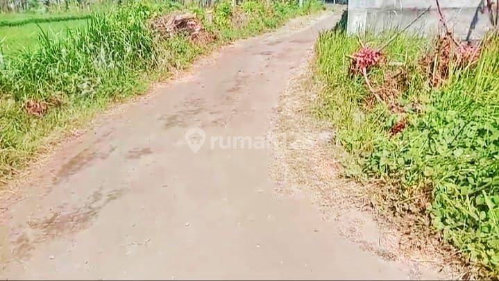 Dijual Villa Loss Pantai Lokasi Seririt Singaraja Buleleng Bali 2