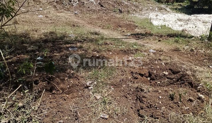 Disewakan Tanah Lokasi Di Jalan Utama Uluwatu Nyangnyang , Sangat Cocok Untuk Indomaret , Restoran , Sport Center dll 