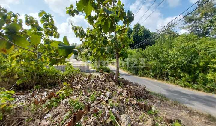 Dijual Lahan Jalan Utama Bingin, Buana Sari Uluwatu. Terletak di Jalan Utama