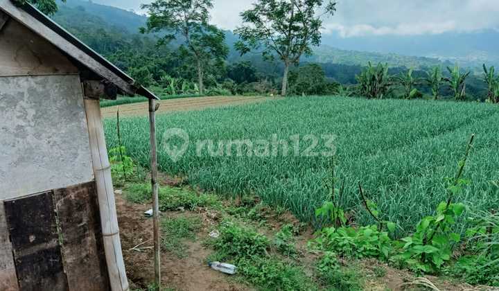 In a 1 Hectare Land Rental, Minimum 30 Are Can be Rented with Mountain, Hill, Lake View, Location Bedugul Bali In a 1 Hectare Land Rental, Minimum 30 Are Can be Rented with Mountain, Hill, Lake View, Location Bedugul Bali