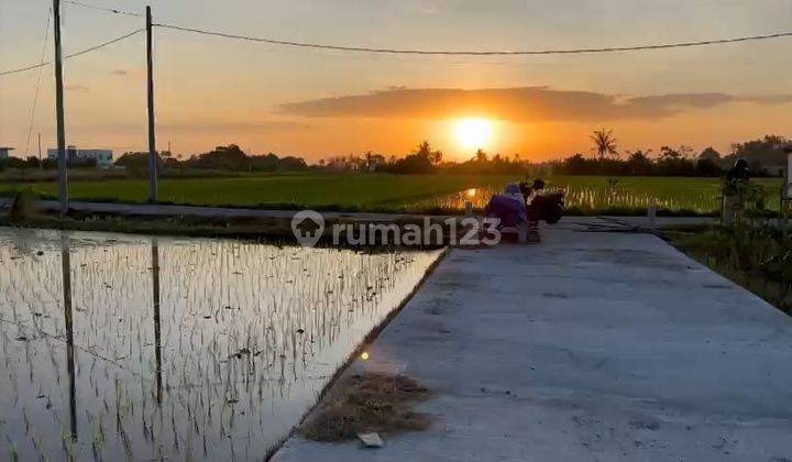 Freehold Dijual Tanah Premium Lokasi Pantai Kedungu Tabanan Bali 1