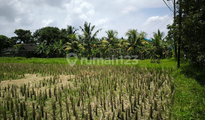 Dijual Tanah Lokasi di Pingir Jalan Utama Pejeg Kangin , Sangat Cocok untuk Ivestasi